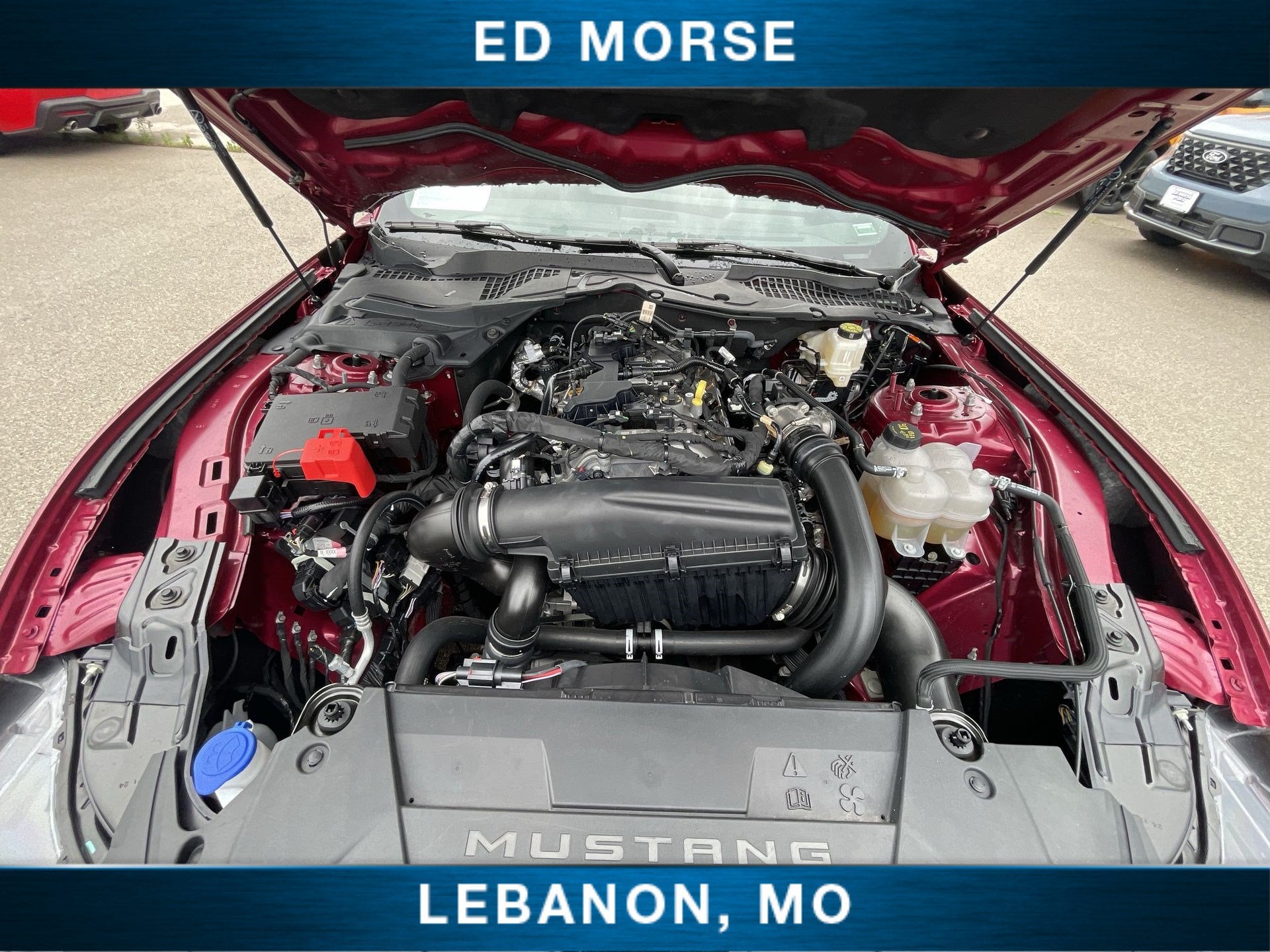 2025 Ford Mustang EcoBoost Premium