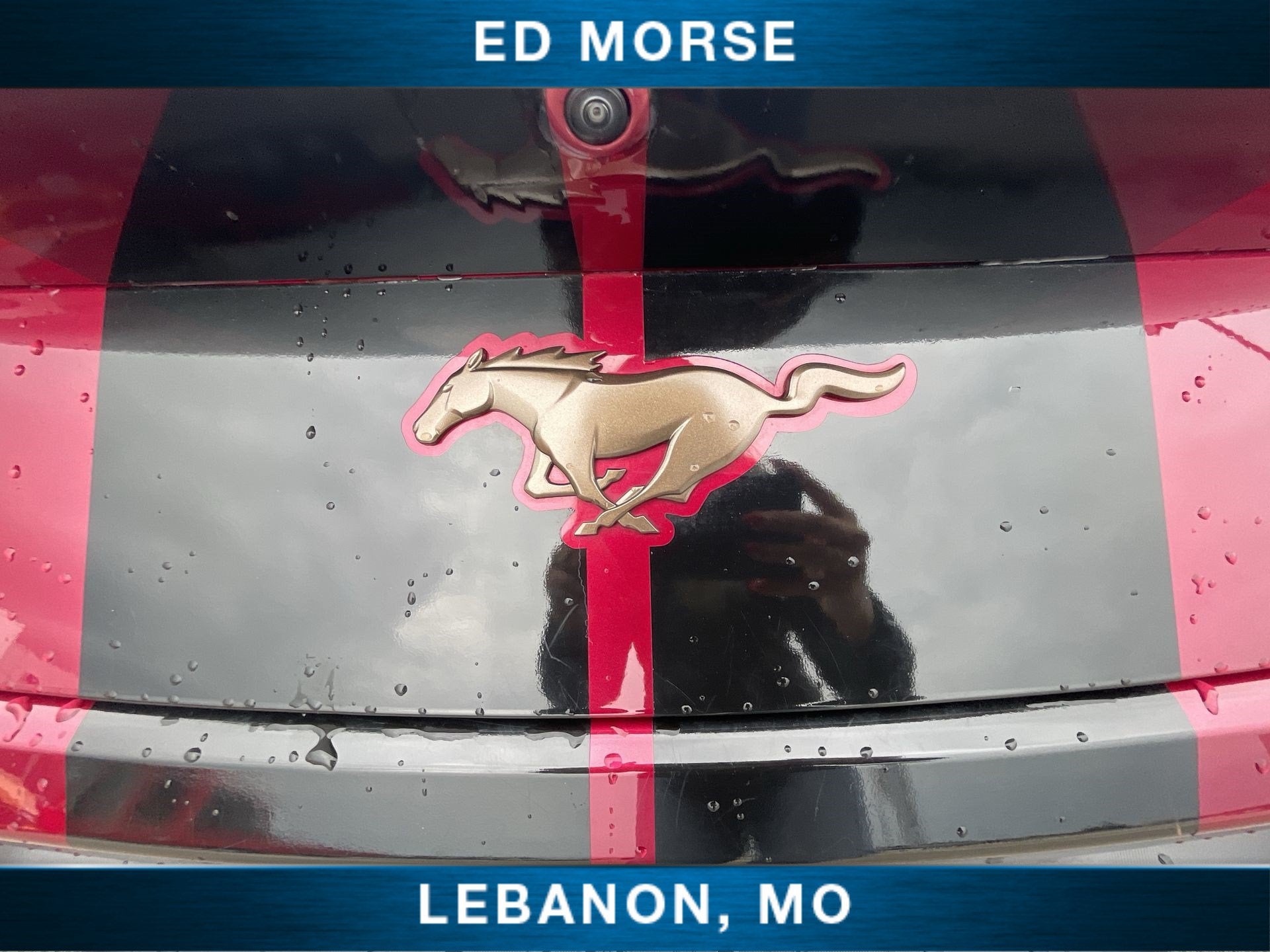 2025 Ford Mustang EcoBoost Premium