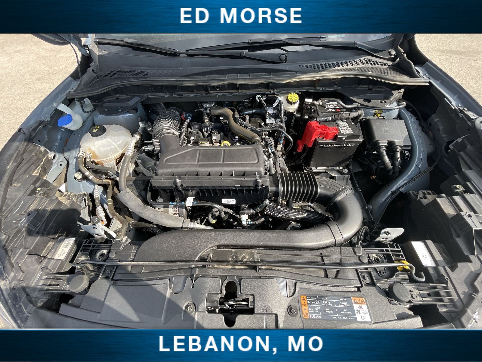 2024 Ford Escape ST-Line