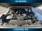 2022 Jeep Gladiator High Altitude