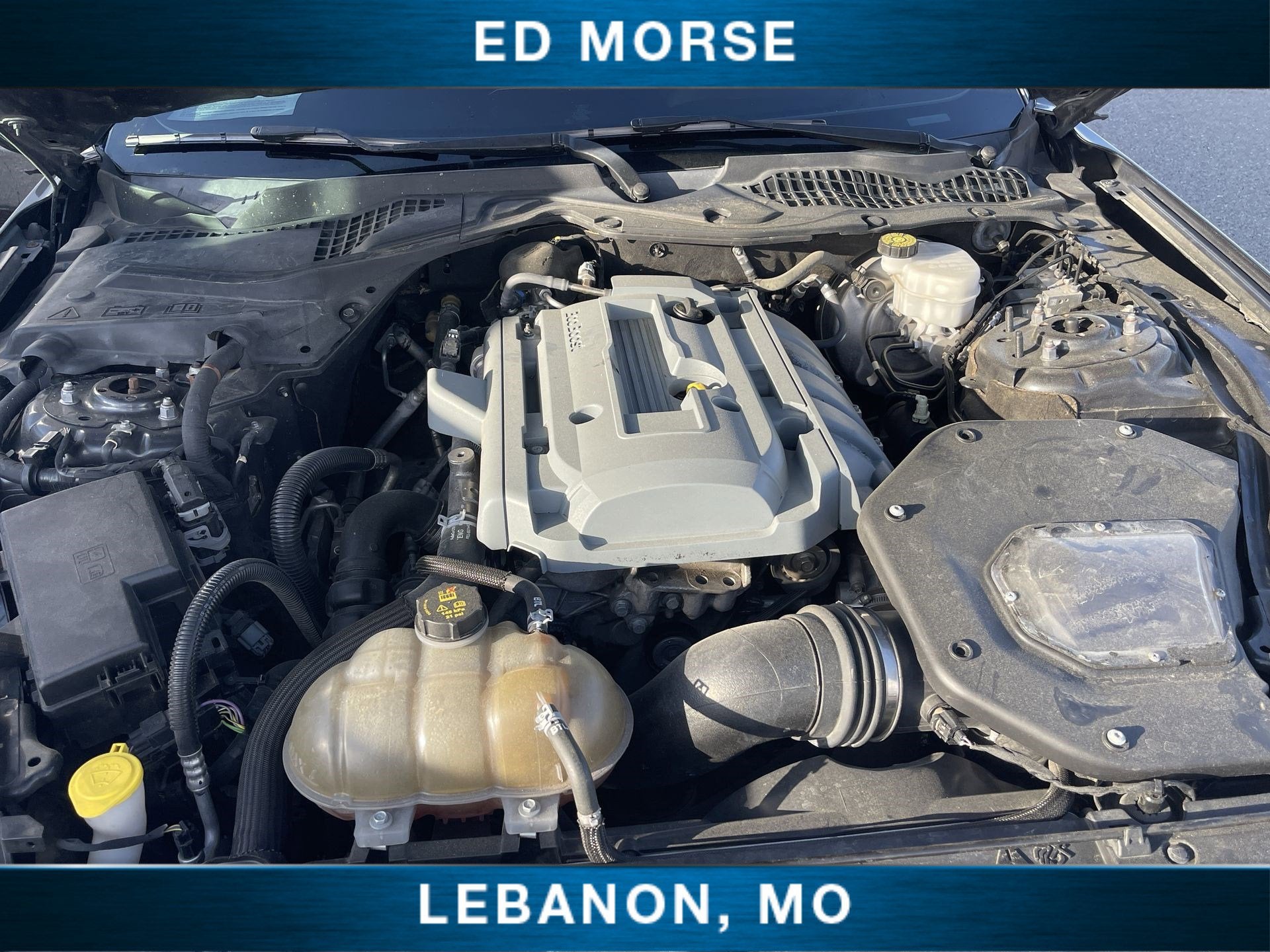 2019 Ford Mustang EcoBoost