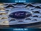 2019 Ford Explorer Platinum