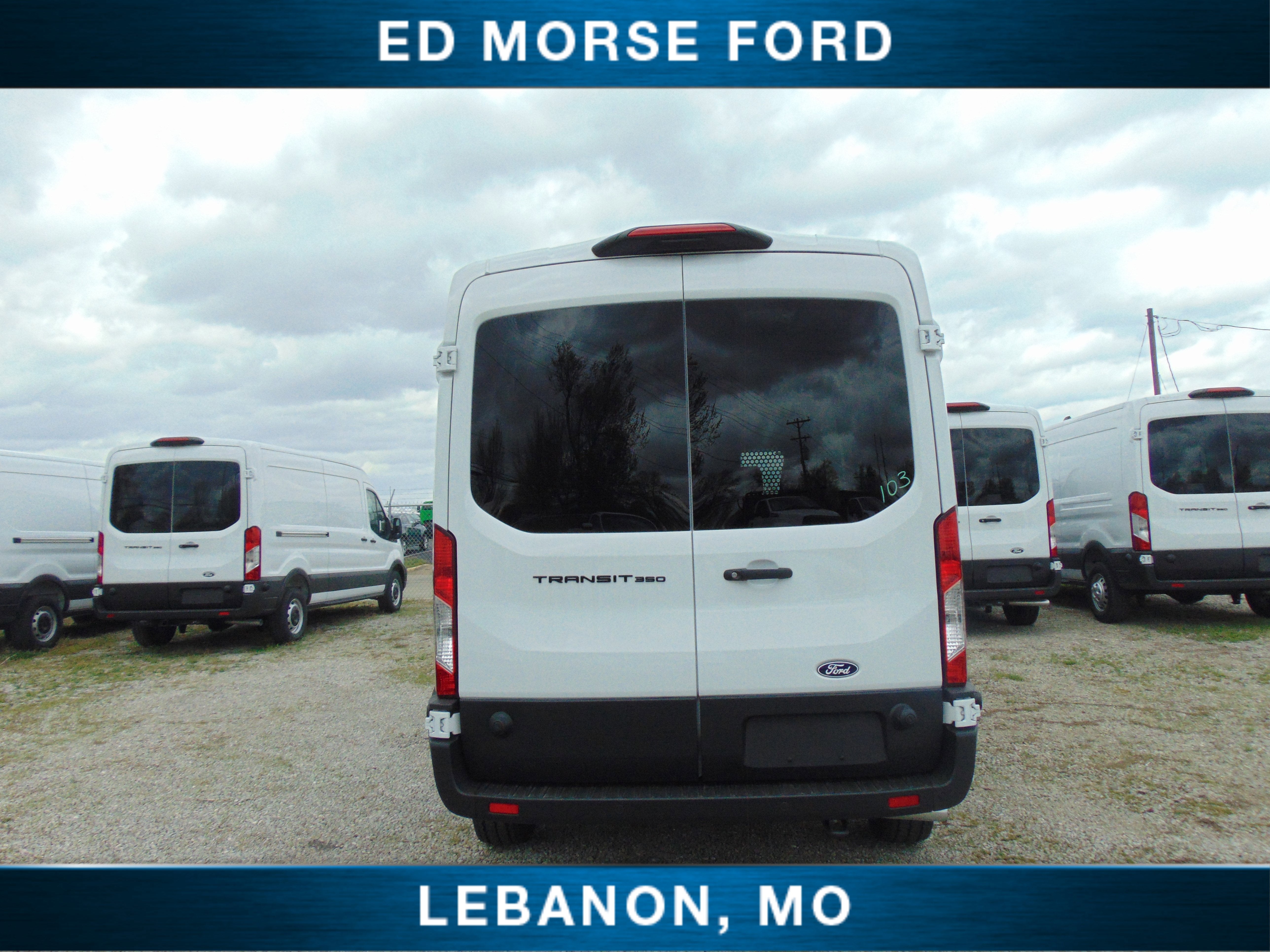 2026 Ford Transit Cargo Van Partition/sprayed