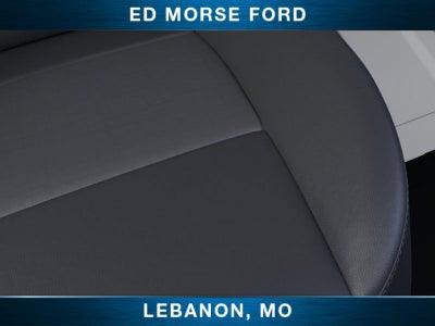 2026 Ford Transit Cargo Van Partition and Sprayed